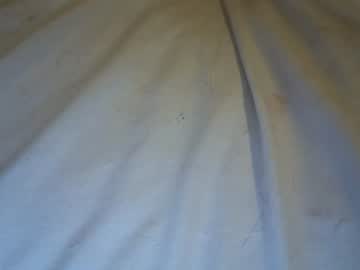 katiecai live cam