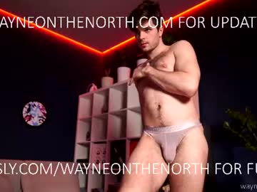 waynenorth live cam