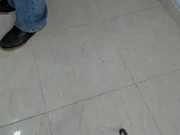 lunaviceht live cam