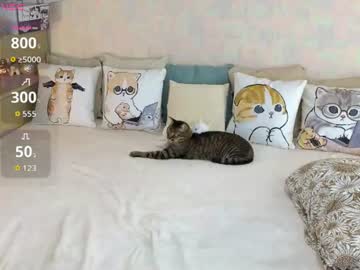 soft_purr_kitty live cam
